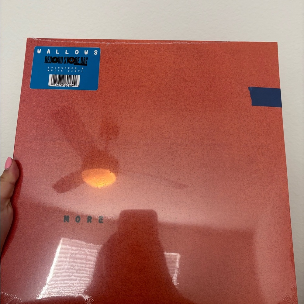 Wallows RSD